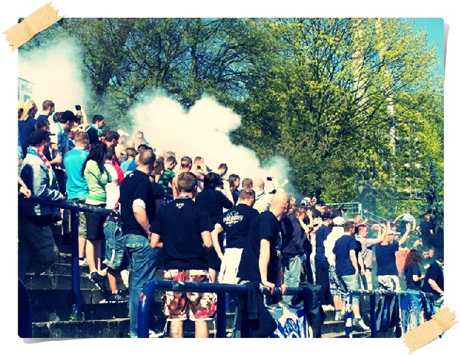 SV Babelsberg 03 - Chemnitzer FC / 3:1 (2:1)