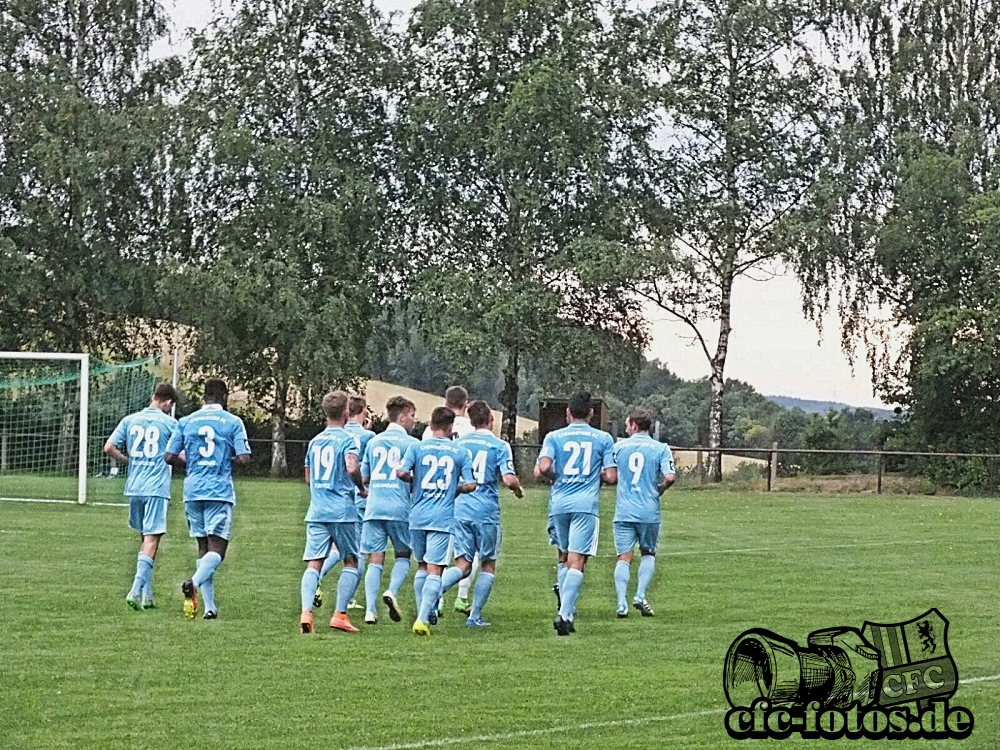 Chemnitzer FC - FCO Neugersdorf / 2:2 (0:0)