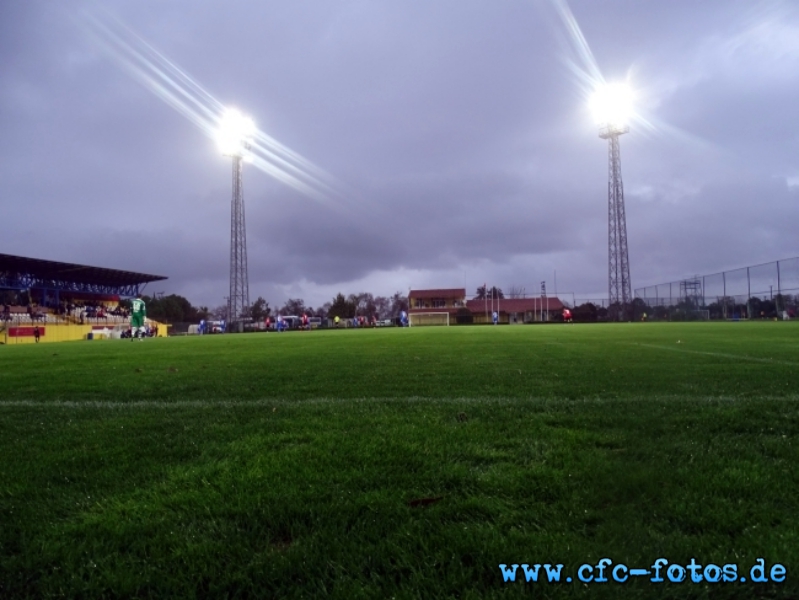 Chemitzer FC - SV Darmstadt 98